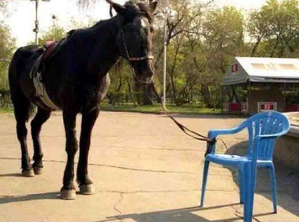 Dolaze izbori – imamo li izbora?  Da li su prepreke koje nas sputavaju samo u našoj glavi?